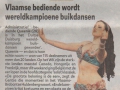 Het Nieuwsblad, 22/11/2011