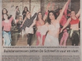 Het Nieuwsblad, 08/07/2013